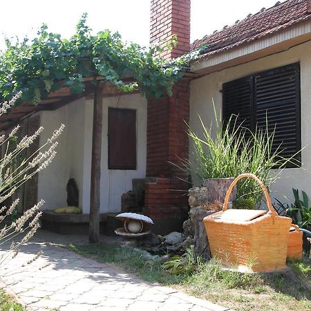 네고틴 Przic House 아파트 외부 사진