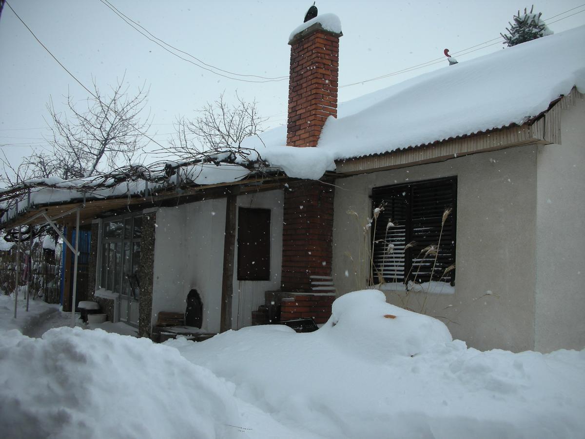 네고틴 Przic House 아파트 외부 사진